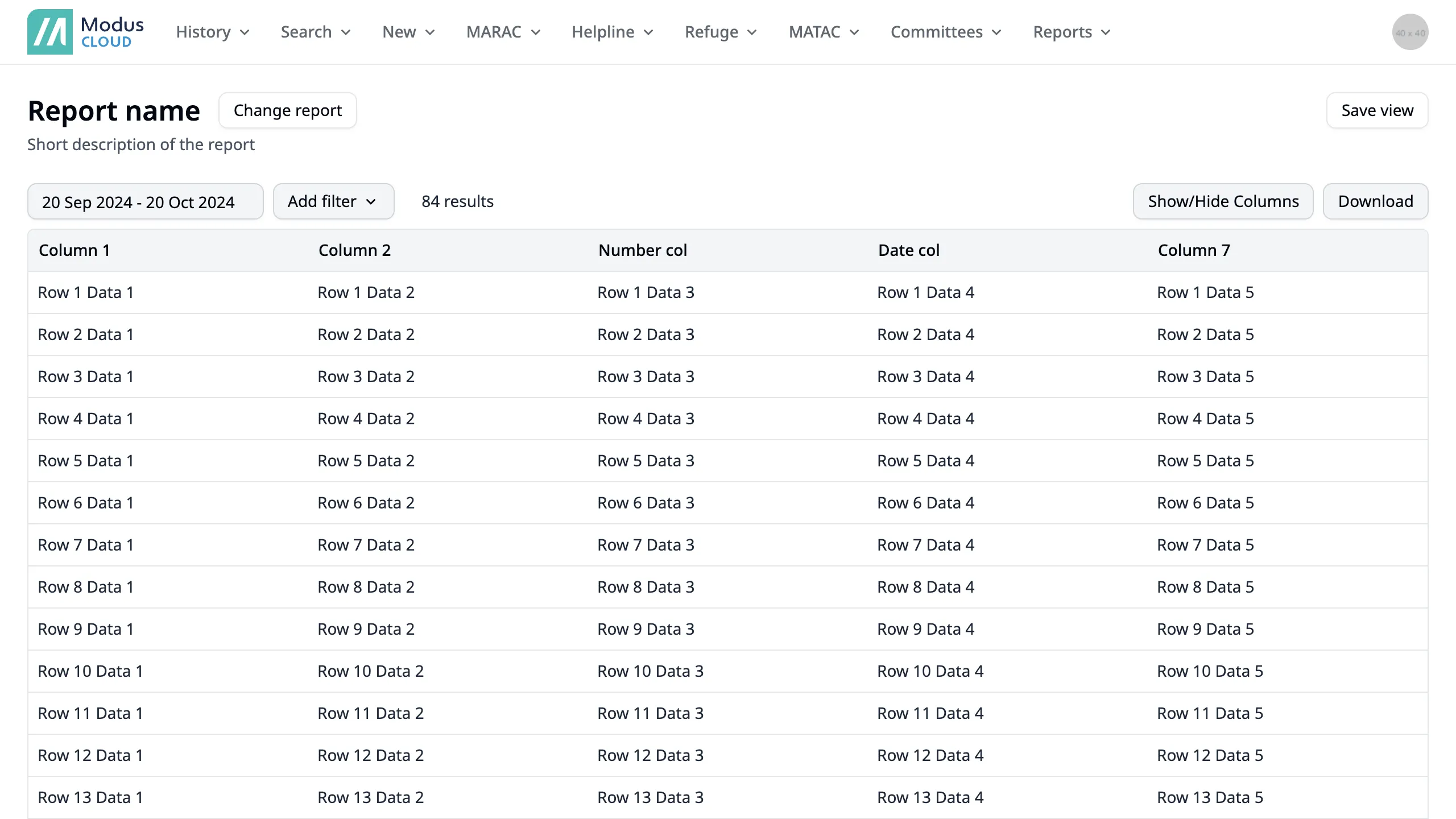 Default view showing a report with dummy data