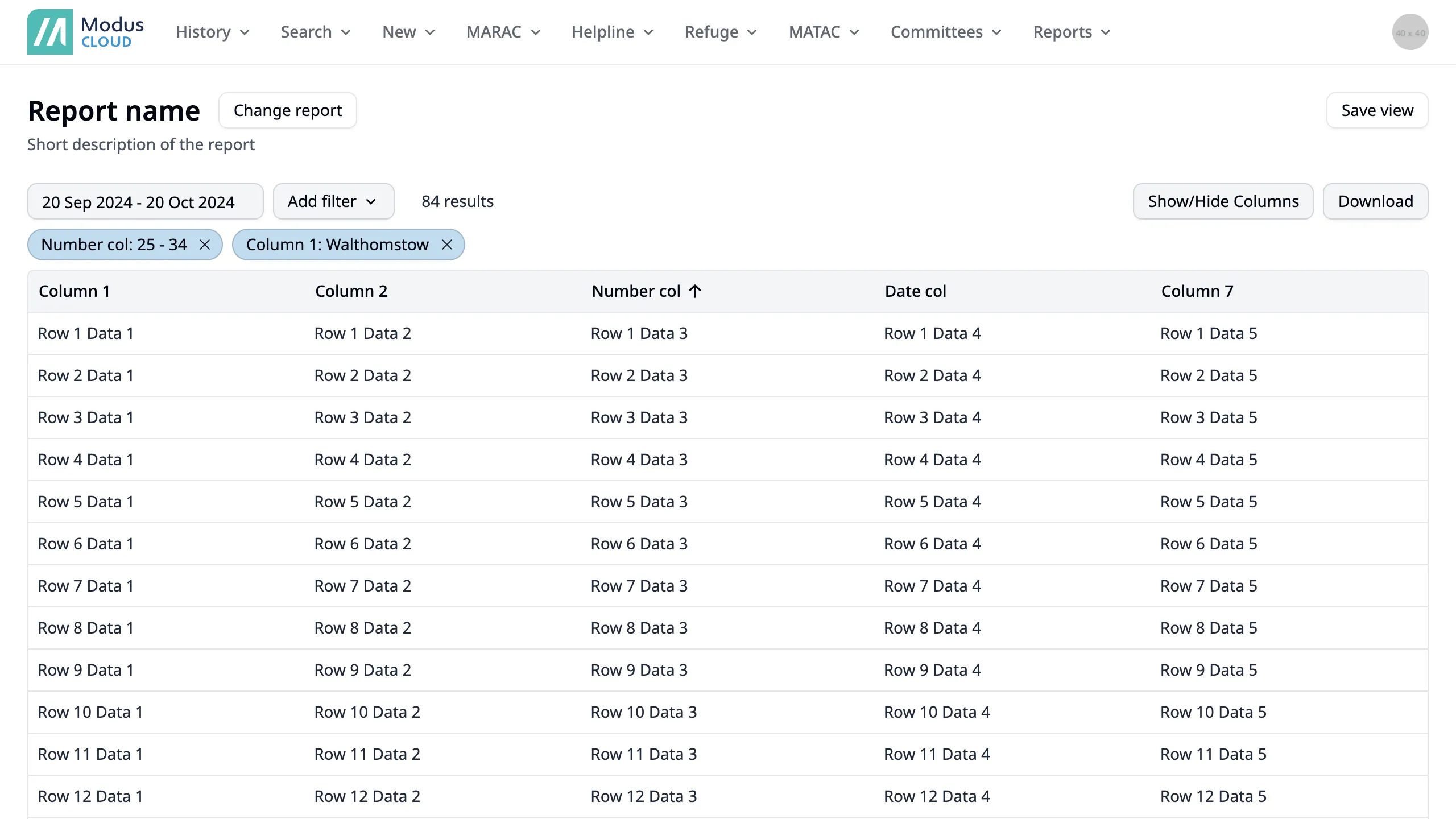 Default view showing a report with dummy data, with filters applied