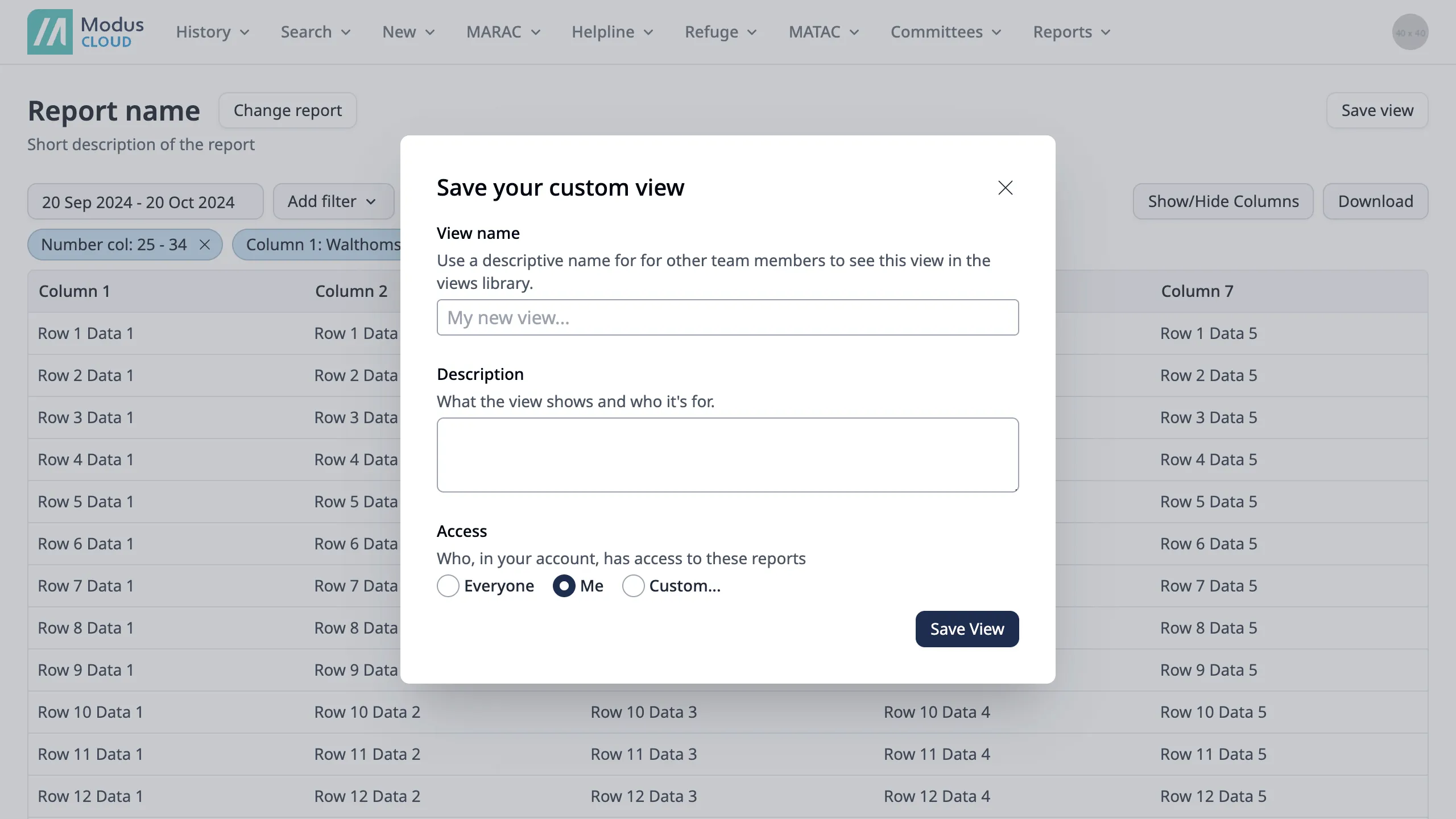 Dialog presenting the options to save the report